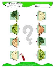 Resmi Diğer Yarısı ile Eşleştir Çalışma Sayfaları